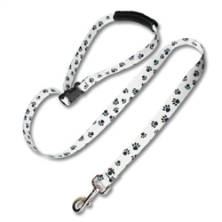 Deluxe Fast Tie-Out Leash