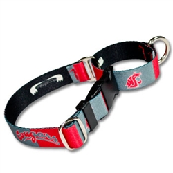 Patterned Quick Release Martingale Collar