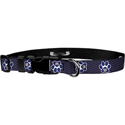 Premier Collar