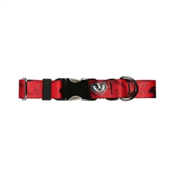 Premier Collar