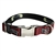 Premier Collar