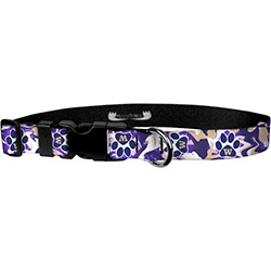 Premier Collar