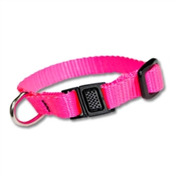 Basic Cat Collar