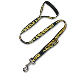 Patterned Comfort Grip Leash with Lead