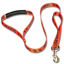 Patterned Comfort Grip Leash with Lead