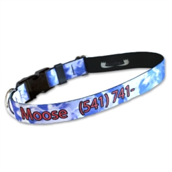 Pet ID Collar