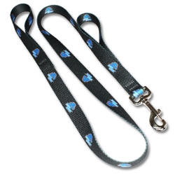 Patterned Leash with Built In Lead