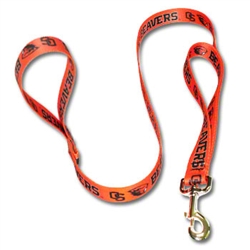 Patterned Leash with Lead.