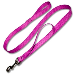 Leash with Built in Traffic Lead Premier Line 1"