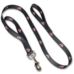 Patterned Leash with Built In Lead