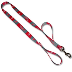 Patterned Leash with Built In Lead
