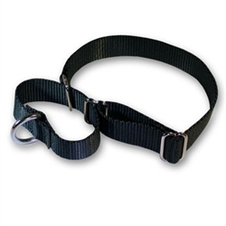 Martingale Basic Collar