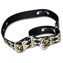 Patterned Martingale Collar