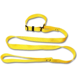 Basic 1 inch Martingale and Leash Combo