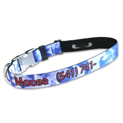 Pet ID Collar