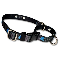 Quick Release Martingale Collar Deluxe Line 1"  Boise State