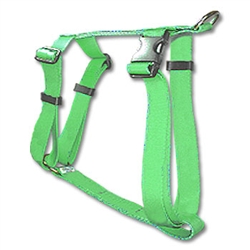 Standard Dog Harness Basic Line 3/4"