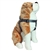 Deluxe Step In Harness 3/4in  University of Illinois