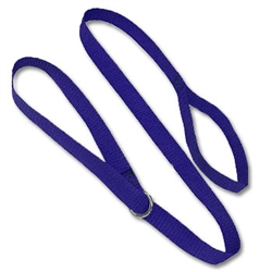 Basic Nylon Slip Leash