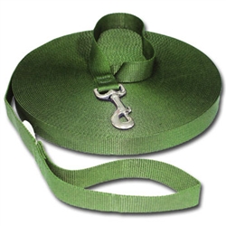 Training Leash