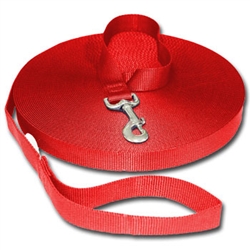 Training Leash
